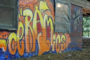 cer 5