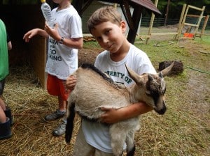 farmgoat5 