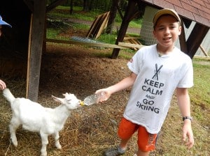 farmgoat6 