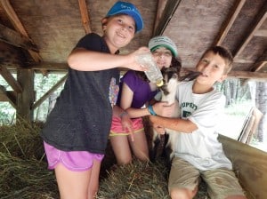 farmgoat7 